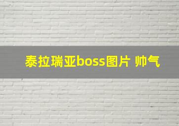 泰拉瑞亚boss图片 帅气